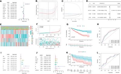 An integrative multi-omics analysis based on disulfidptosis-related prognostic signature and distinct subtypes of clear cell renal cell carcinoma